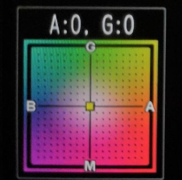 298655072.jpg