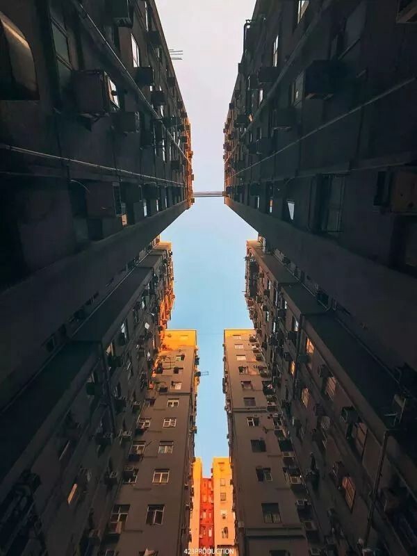 298655857.jpg