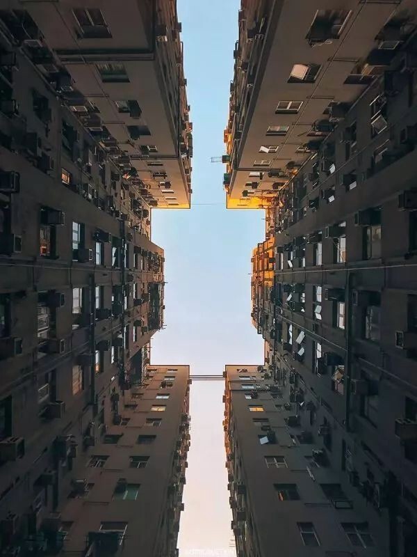 298655858.jpg