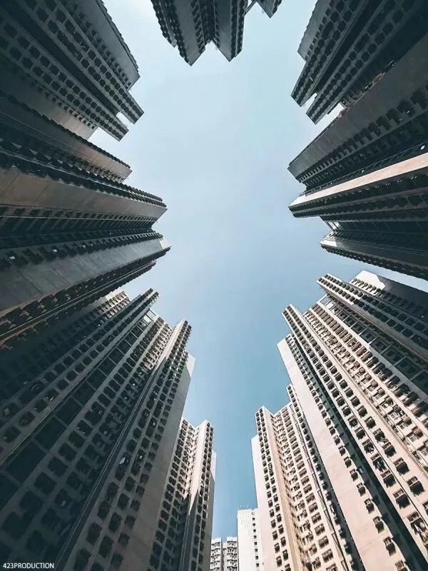 298655872.jpg
