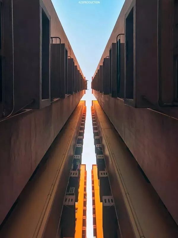 298655879.jpg