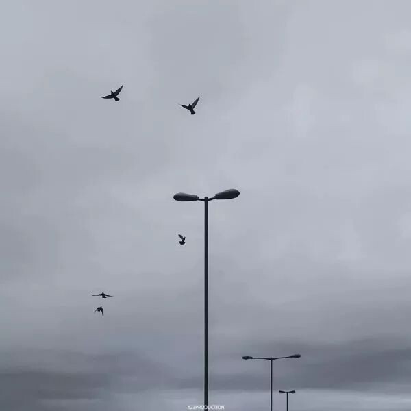 298655925.jpg