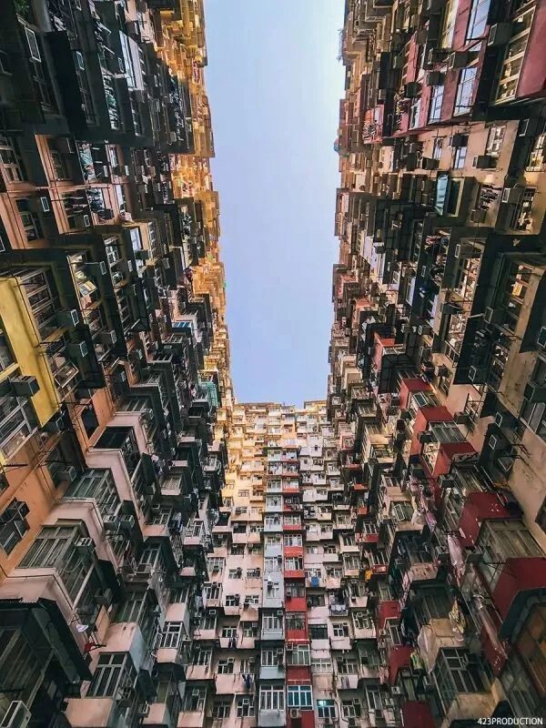 298655935.jpg