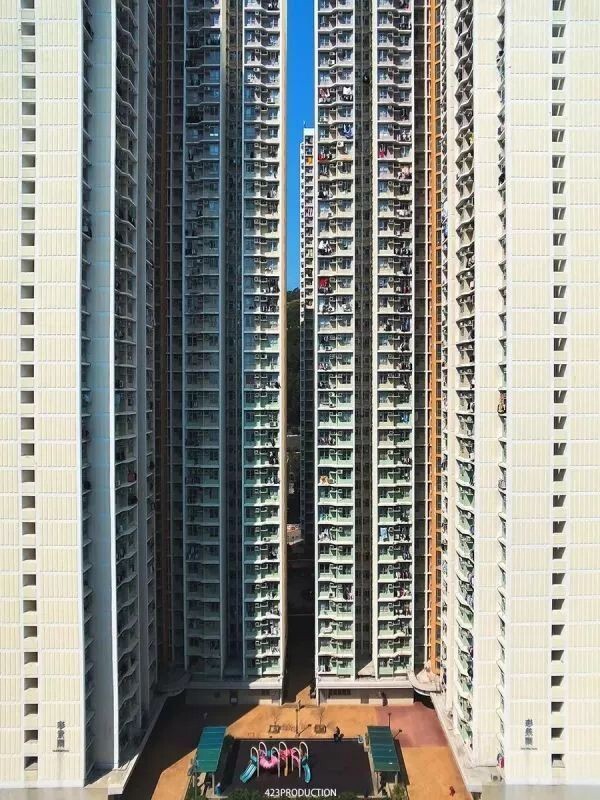 298655953.jpg