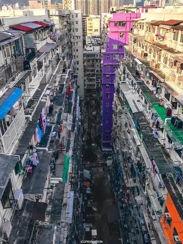 298655964.jpg