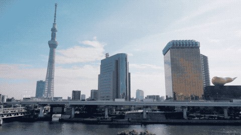 298657759.jpg