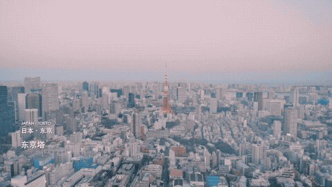 298657778.jpg