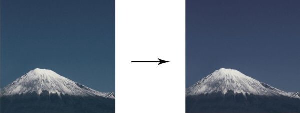 298658965.jpg