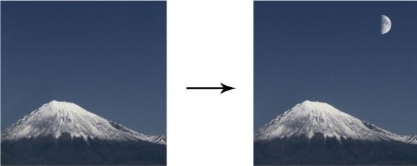 298658967.jpg