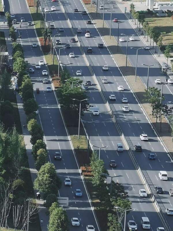 298661033.jpg