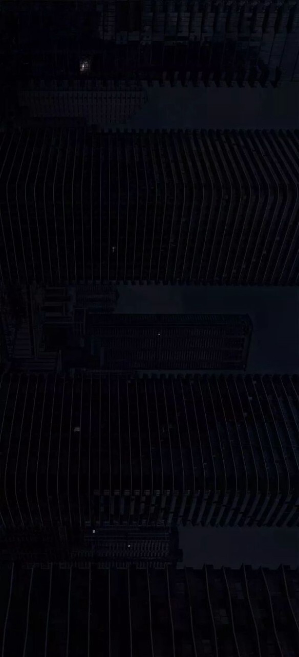298662113.jpg