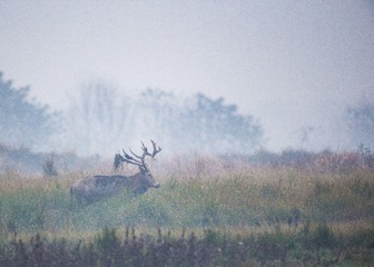 _U0W3517-4