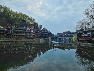 CF003017