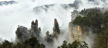 未标题_全景图1