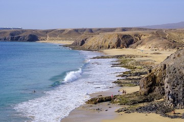 CF003437