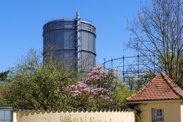 CF003361