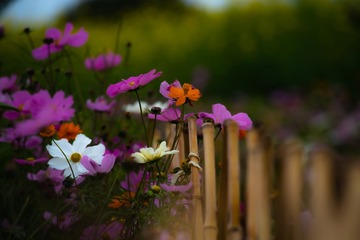 B134EB94-D5E9-423B-95EE-698336BEE25C/L0/001