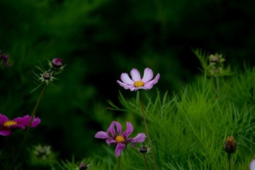 30C9E8E1-CA4E-434C-B568-84B4F575D364/L0/001