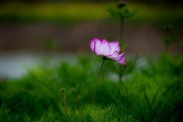 5D094D69-DB27-40CA-9F9D-57D744942856/L0/001