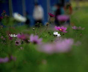 E59066FA-F5EB-49E0-9989-58F9DE0C0E64/L0/001