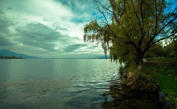 IMG_8705-1