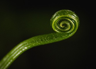 100451
