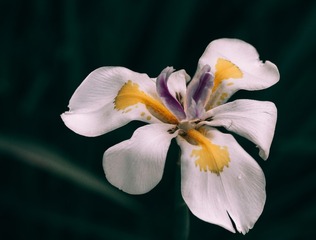 99671