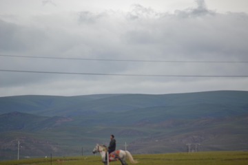 DSC_0029_???