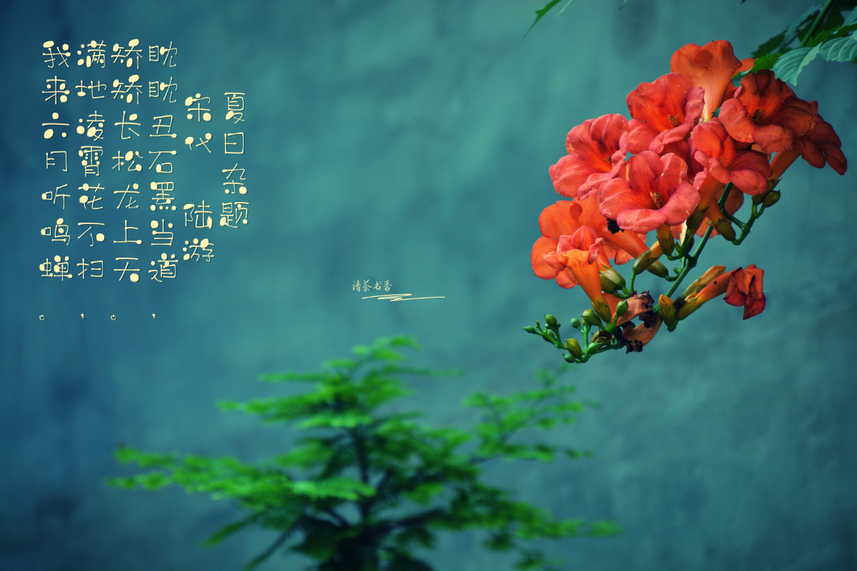 夏日杂题宋代陆游眈眈丑石罴当道矫矫长松龙上天满地凌霄花不扫我来