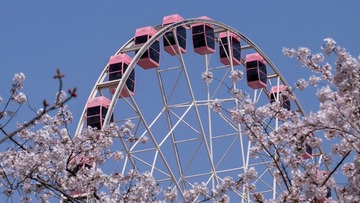 40D66A1C-8A9E-49FC-8EF9-E54630A8E00D/L0/001