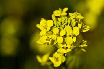 779424