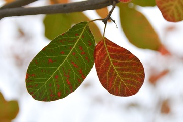 763307