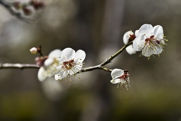 778073