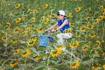 _F1A8829 拷贝