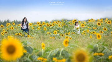 _F1A7890 拷贝