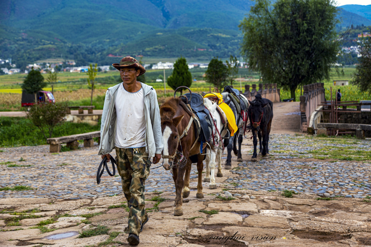 云南沙溪古镇马帮