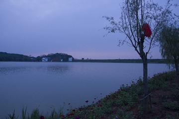 _DSC0126