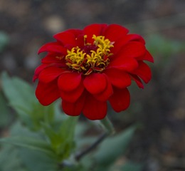 _DSC0128