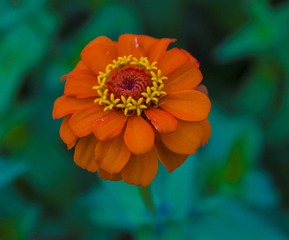 _DSC0145