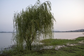 _DSC0237