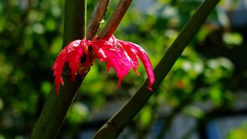 Camera360_2016_9_9_115110