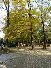 1660444
