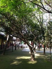 1660435