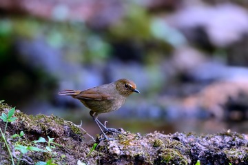 DSC_8840aa