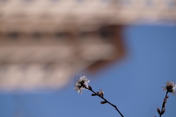 2016_0404_12144000