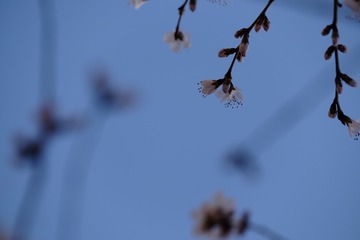 2016_0404_12161900