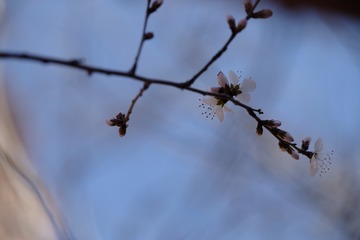 2016_0404_12151400