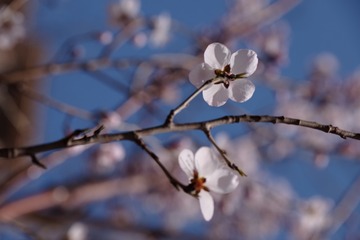 2016_0404_12092600