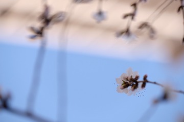 2016_0404_12153100