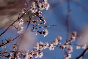 2016_0404_12172900